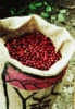 YaucoSelectoBeanCoffee.gif